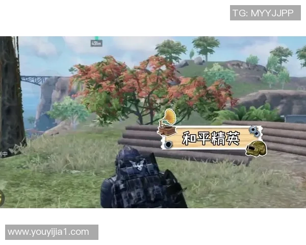 和平精英热议V5意识争议引发玩家热烈讨论与不同看法