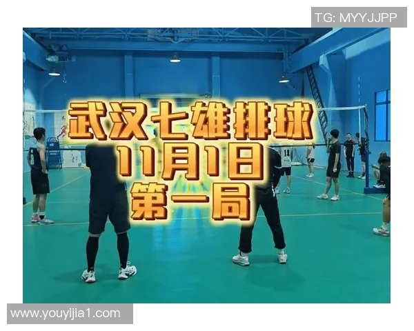 武汉排球队员个人能力分析与发展潜力探讨 武汉排球队员个人能力分析与发展潜力探讨